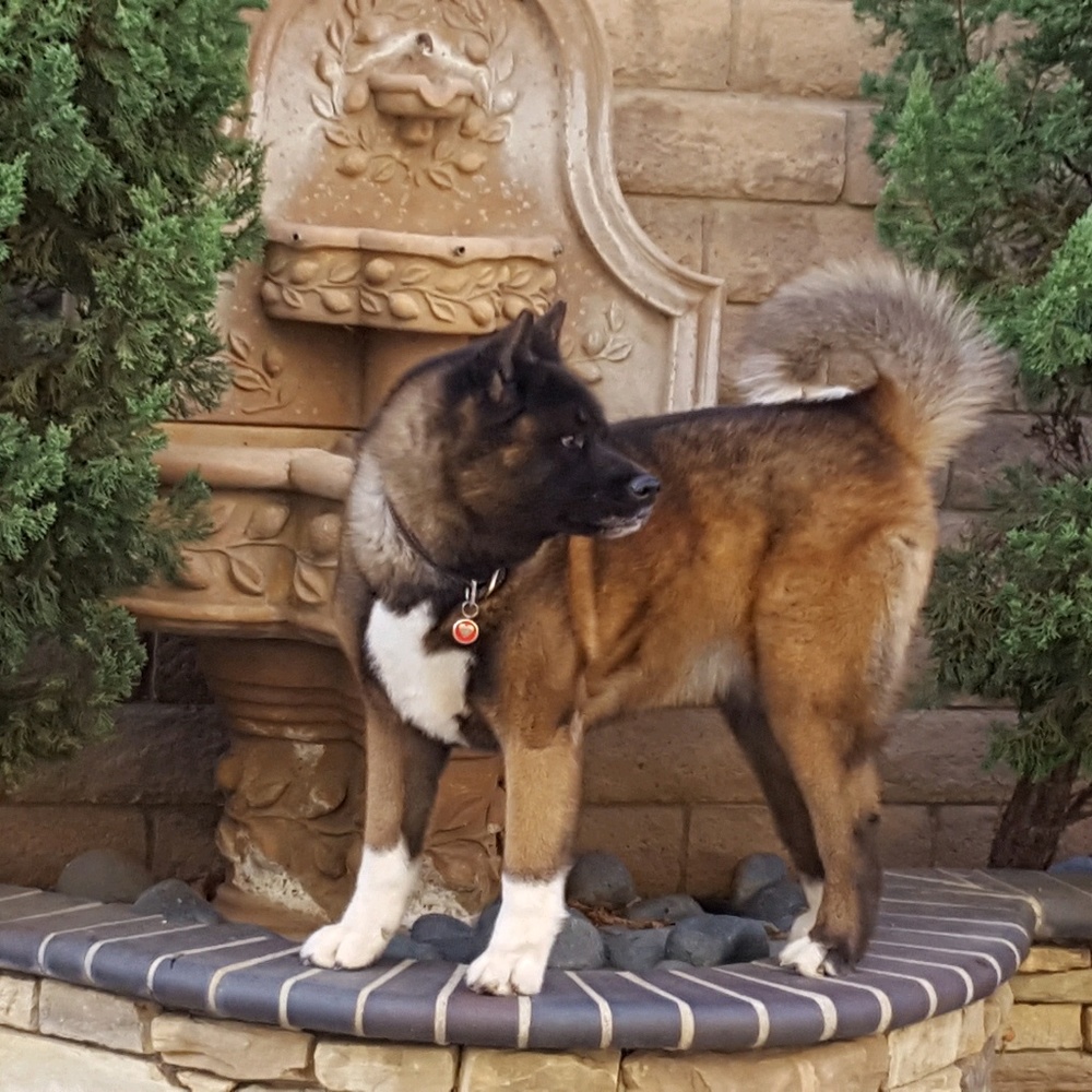 Meet your Posher, Diane